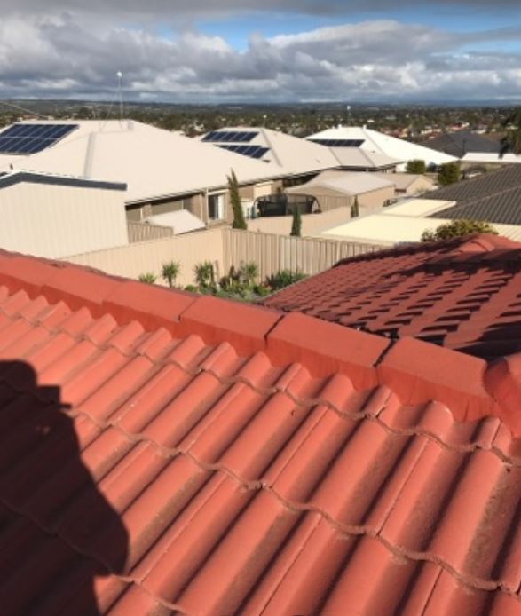 Adelaide Roofs